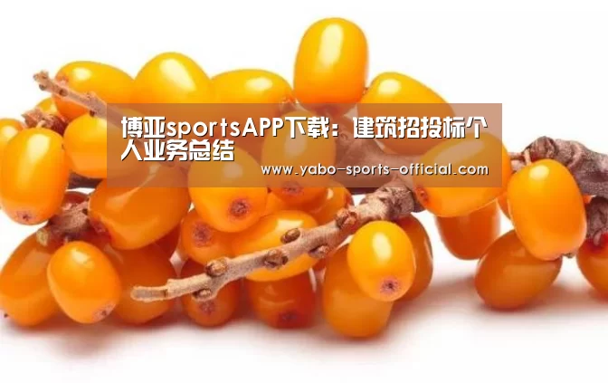博亚sportsAPP下载:建筑招投标个人业务总结(图1) 博亚sports体育平台