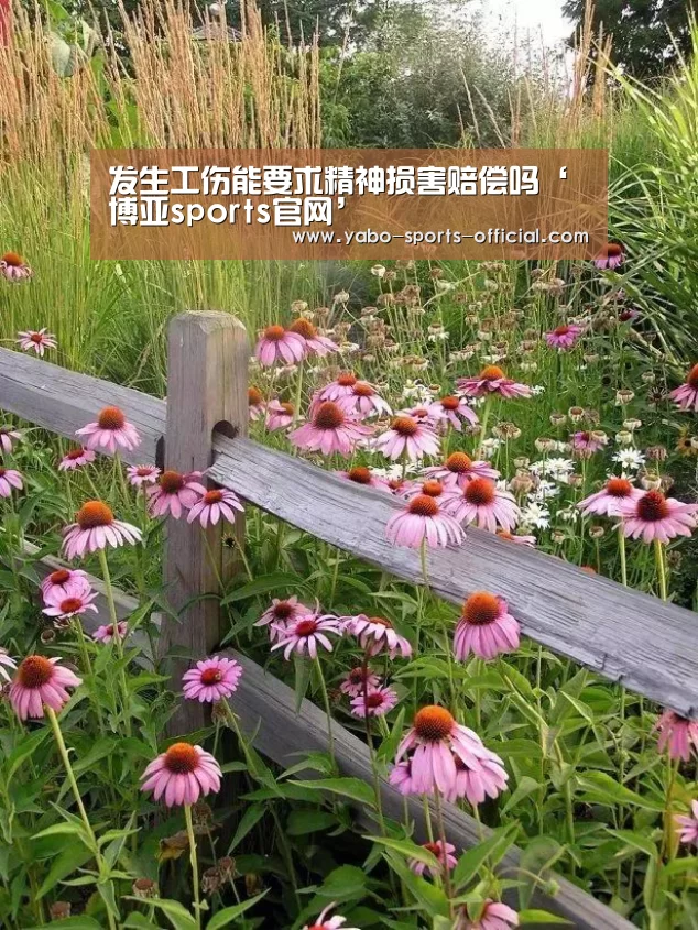 博亚sports体育平台