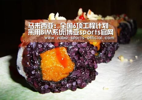 博亚sportsAPP下载