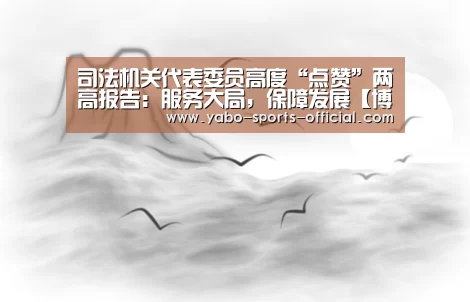 司法机关代表委员高度“点赞”两高报告:服务大局,保障发展【博亚sports体育平台】(图2) 博亚sports官网